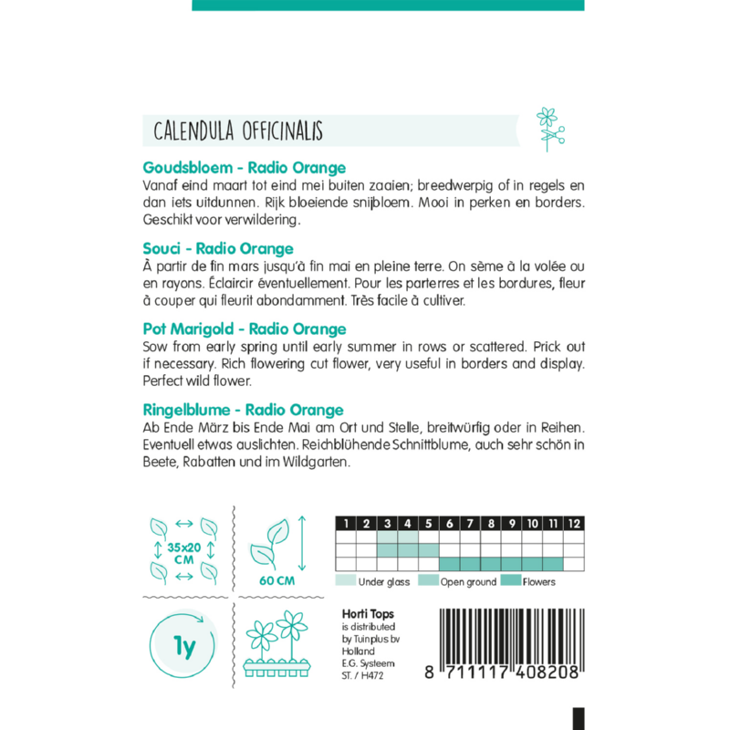 HT Calendula, Goudsbloem Radio Orange