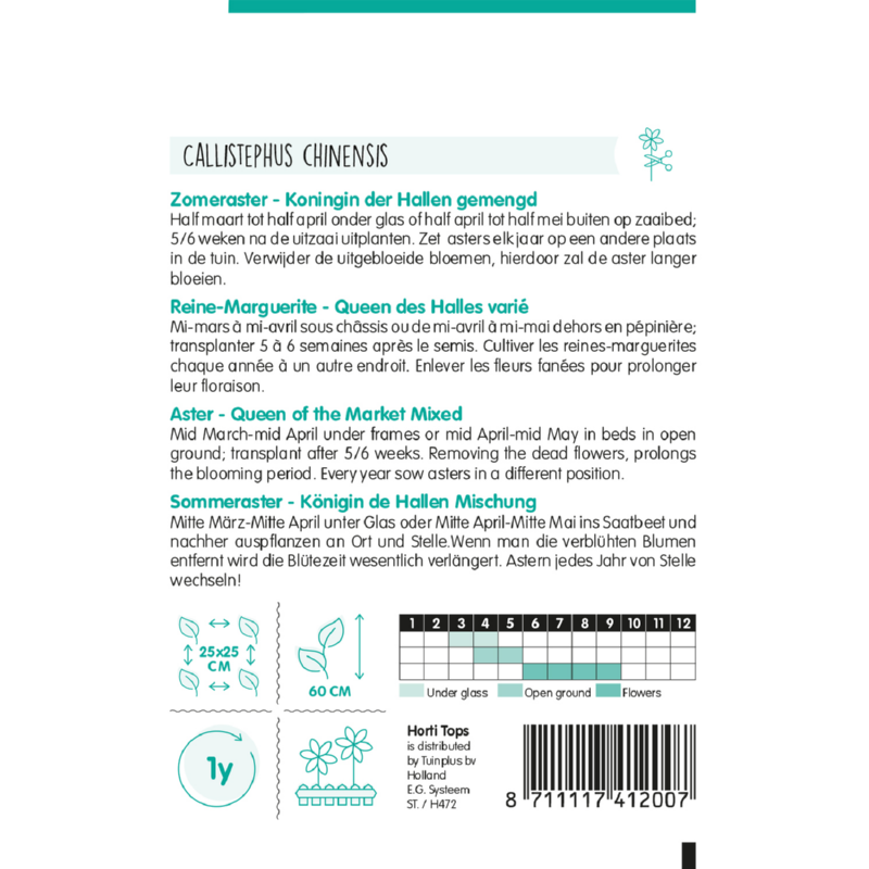 HT Callistephus, Zomeraster Koningin der Hallen gemengd