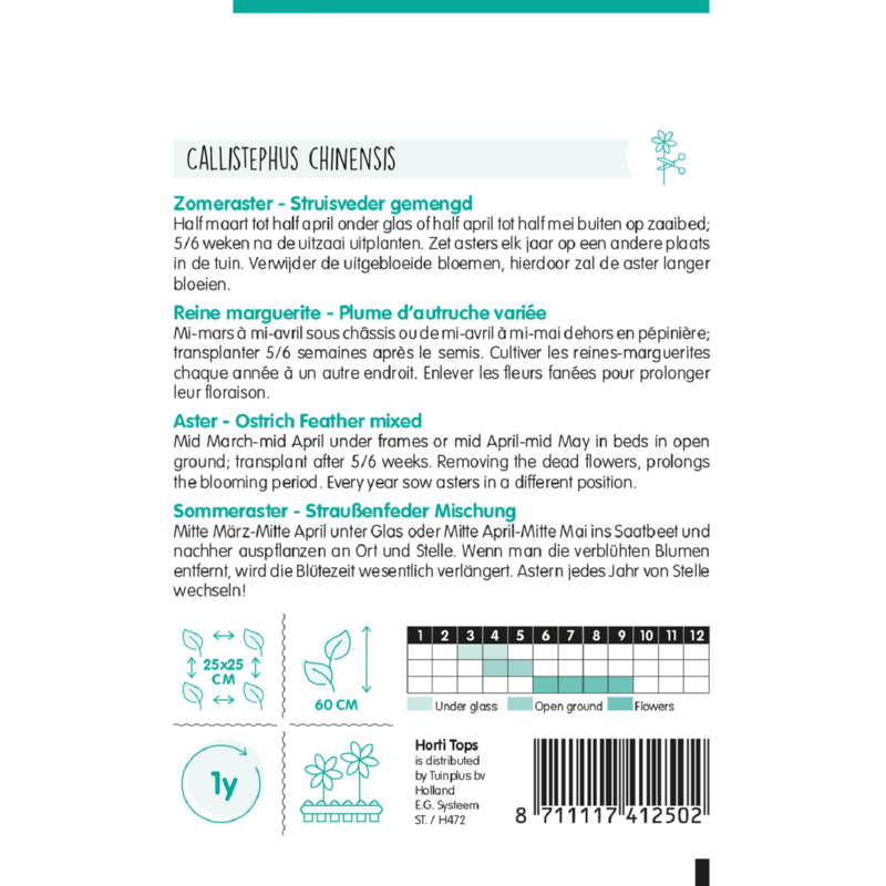 Horti Tops® Callistephus chin. Ostrich Plume mixed