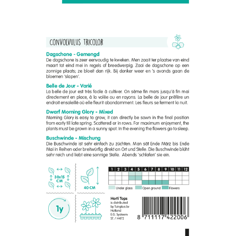 Horti Tops® Convolvulus Tricolor Mixed