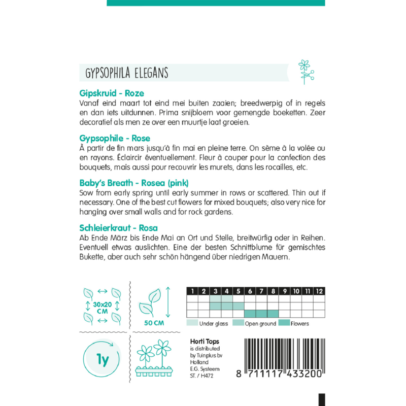 Horti Tops® Gypsophila Elegans Rosea, Pink