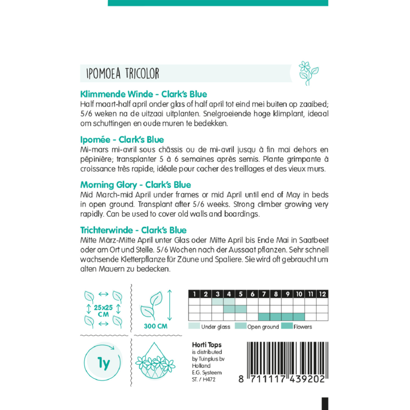 Horti Tops® Ipomoea rubro coerulea Heavenly blue