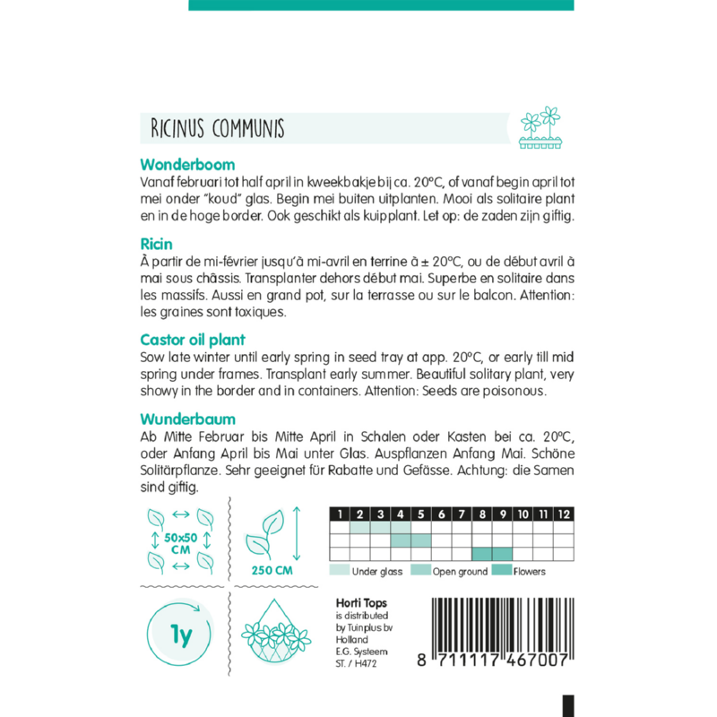 Horti Tops® Ricinus Communis Zanzibariensis