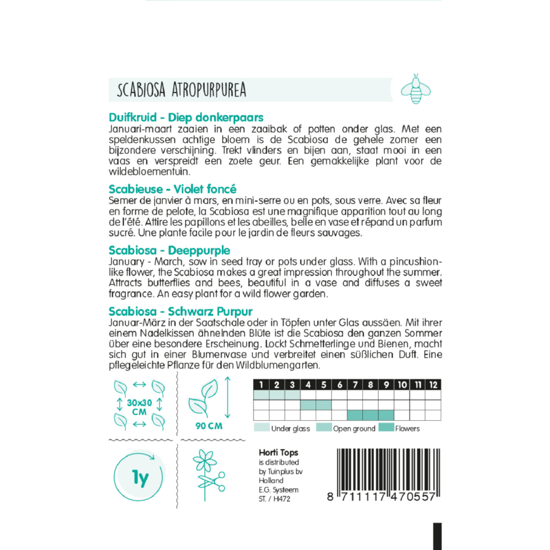 Horti Tops® Scabiosa Deeppurple