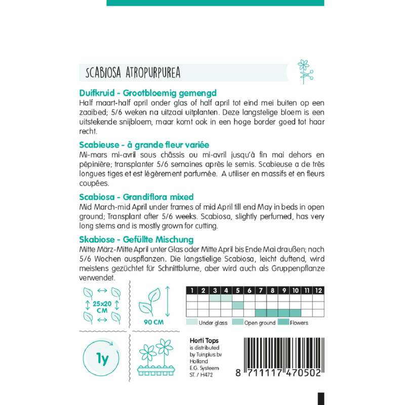 HT Scabiosa, Duifkruid gemengd
