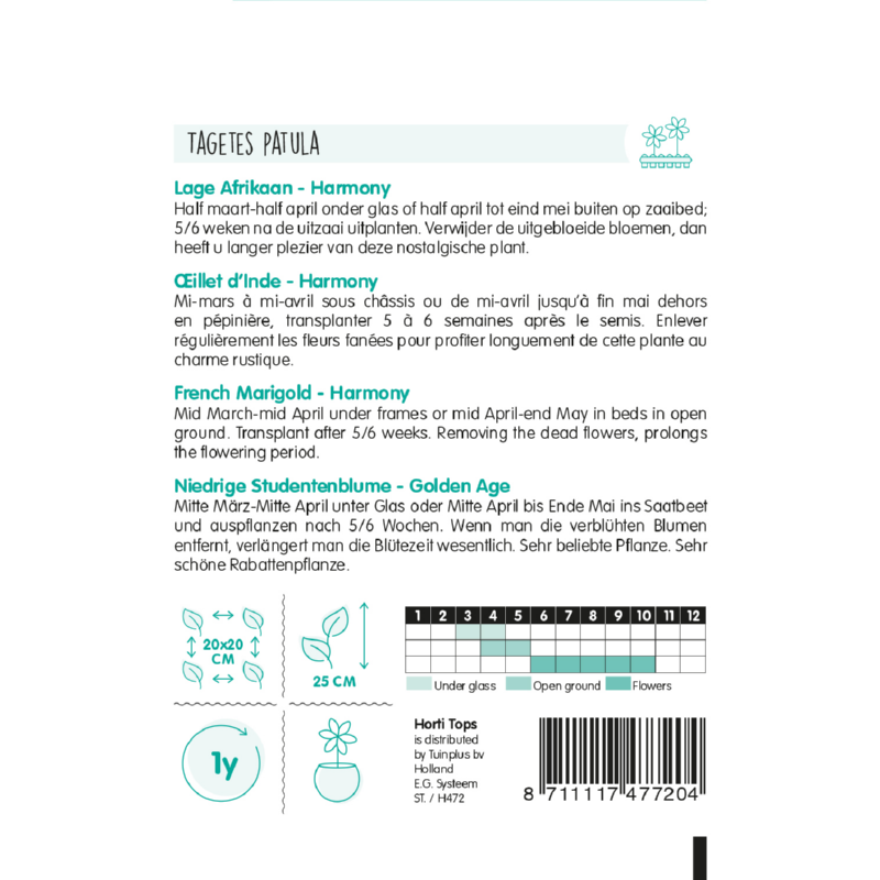 HT Tagetes, lage Afrikaan Petite Harmony