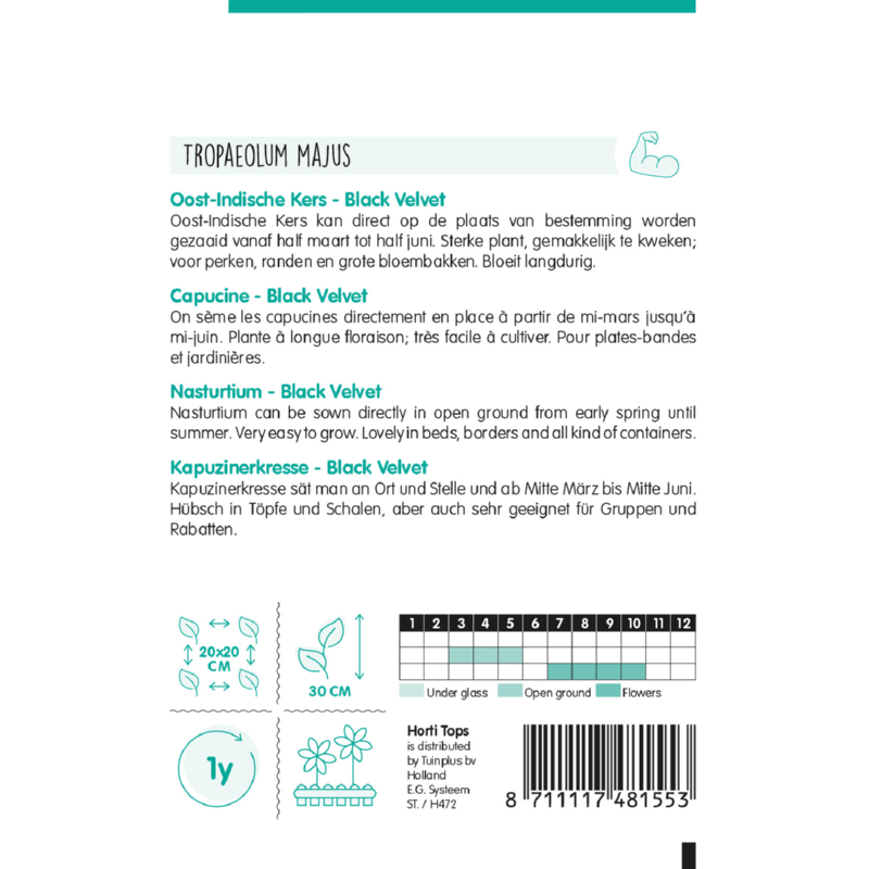 Horti Tops® Nasturtium Black Velvet