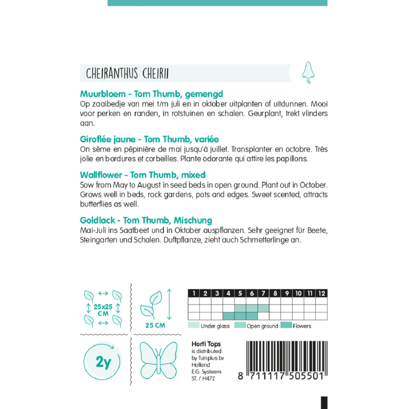 HT Cheiranthus, Muurbloem Tom Thumb gemengd