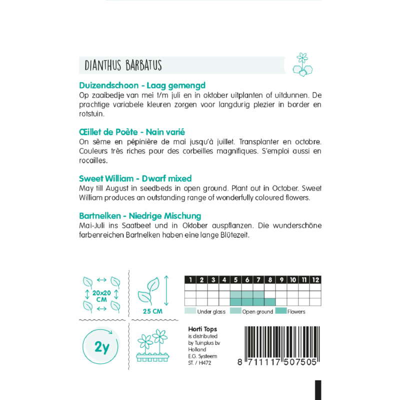Horti Tops® Dianthus barbatus Dwarf double mixed