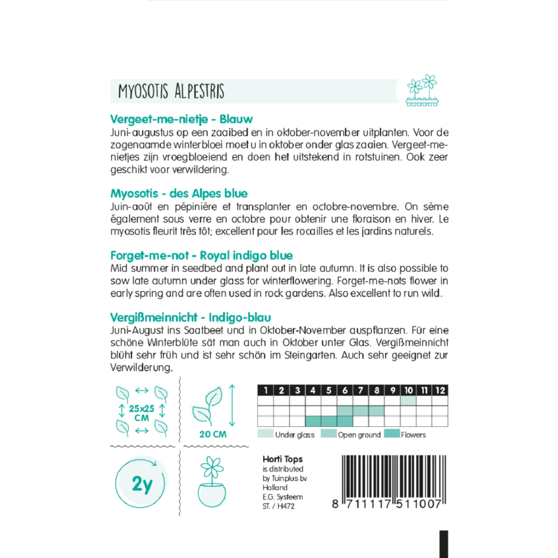 HT Myosotis, Vergeet-me-nietje blauw