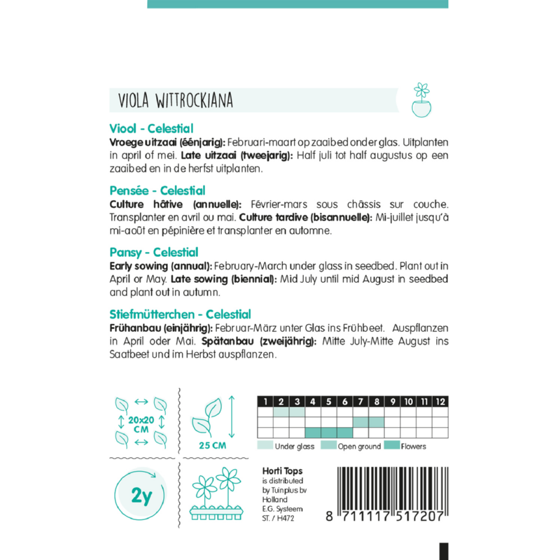 HT Viola, Viool Celestial