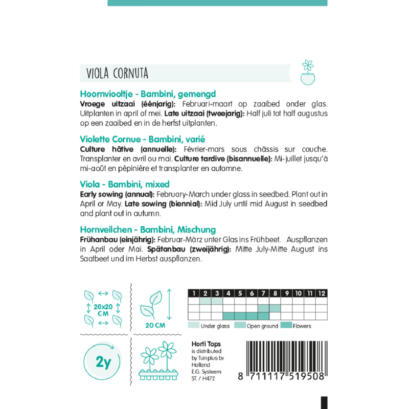 HT Viola, Hoornviooltje Bambini gemengd