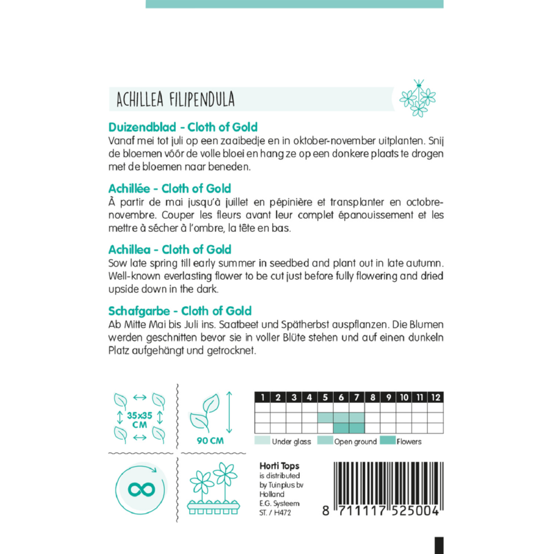 Horti Tops® Achillea Filipendula Cloth Of Gold