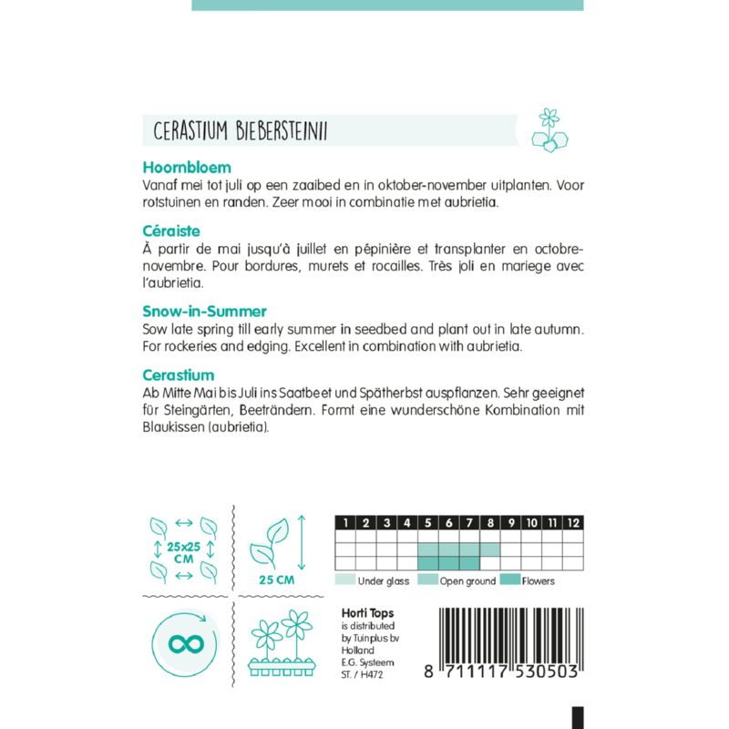 HT Cerastium, Hoornbloem wit