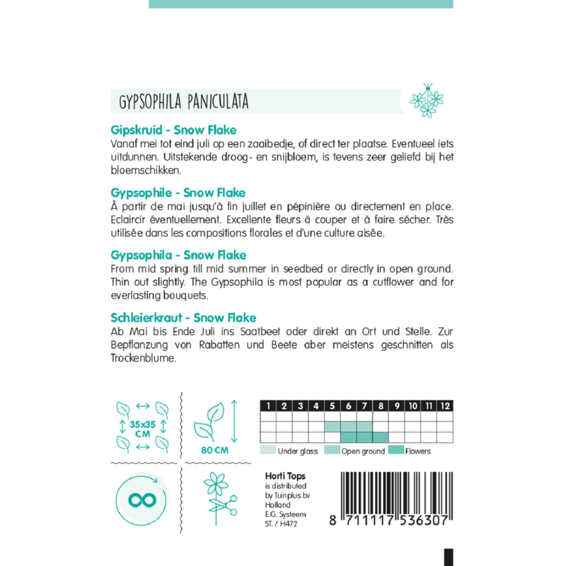 HT Gypsophila, Gipskruid Snow Flake dubbelbloemig wit