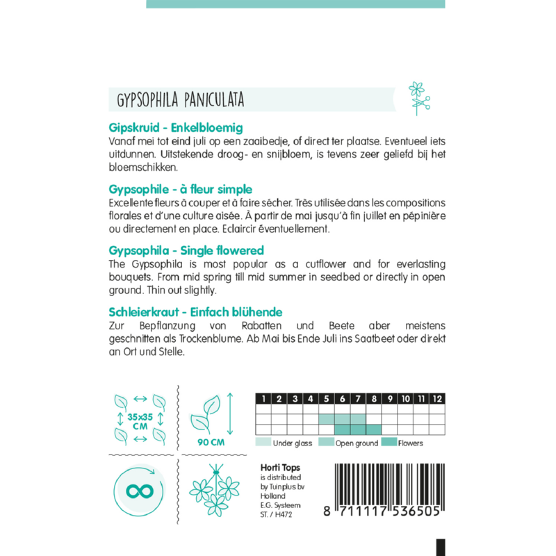 Horti Tops® Gypsophila Paniculata Single White