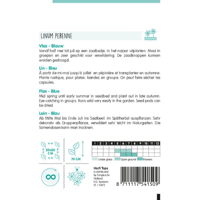 Horti Tops® Linum Perenne Blue