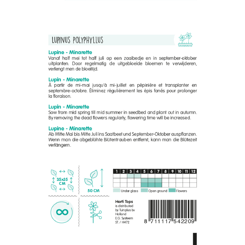 HT Lupinus, Lupine Minarette gemengd