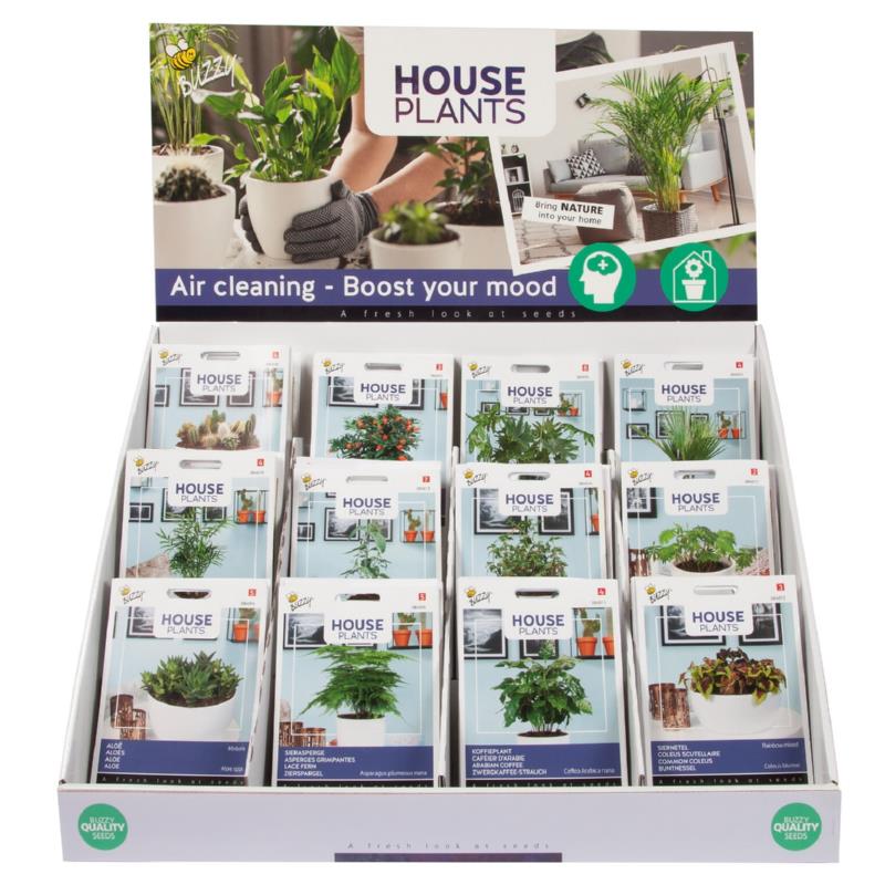 Buzzy® Display Houseplants 12x10