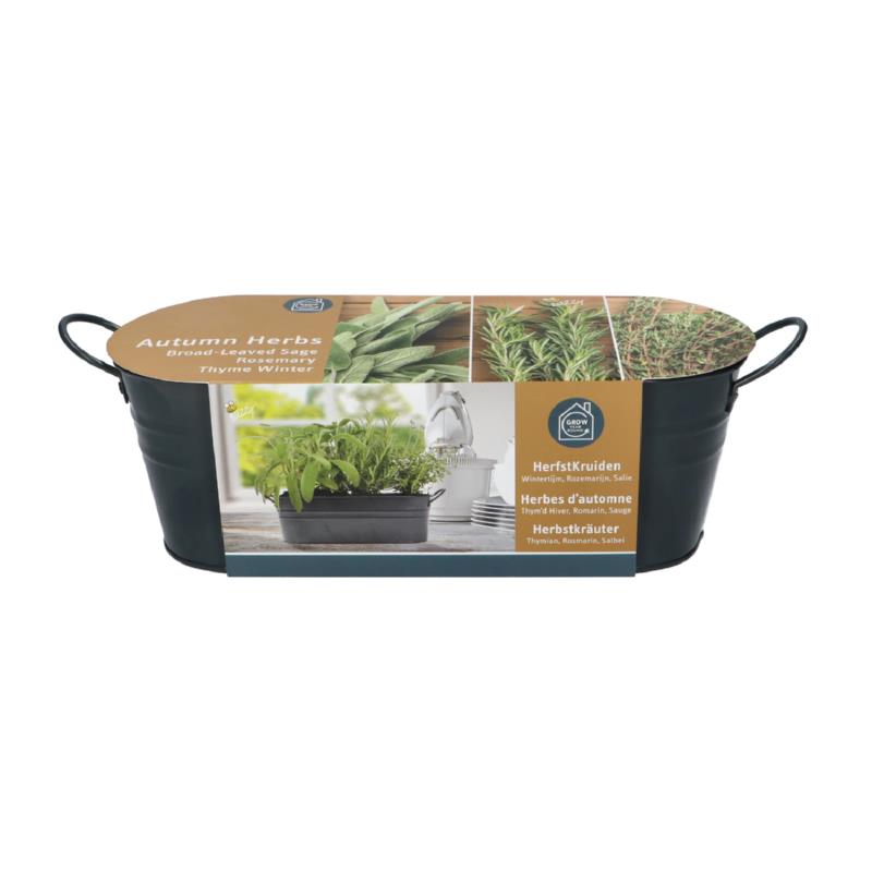 Buzzy® Windowsill Grow Kit Autumn herbs