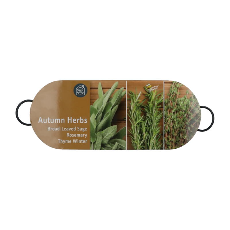 Buzzy® Jardinière Legume herbes d'automne