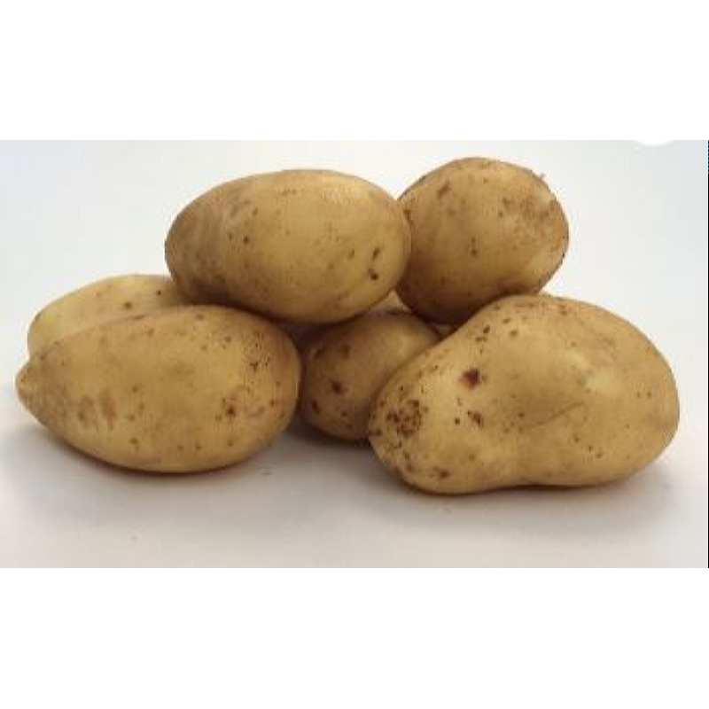 Seed Potatoes Bio Sevilla 1kg