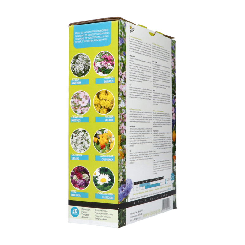 Buzzy® Friendly Flowers XL Bees 50m²