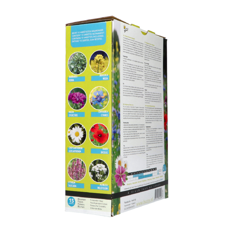Buzzy® Friendly Flowers XL Inheems 50m²