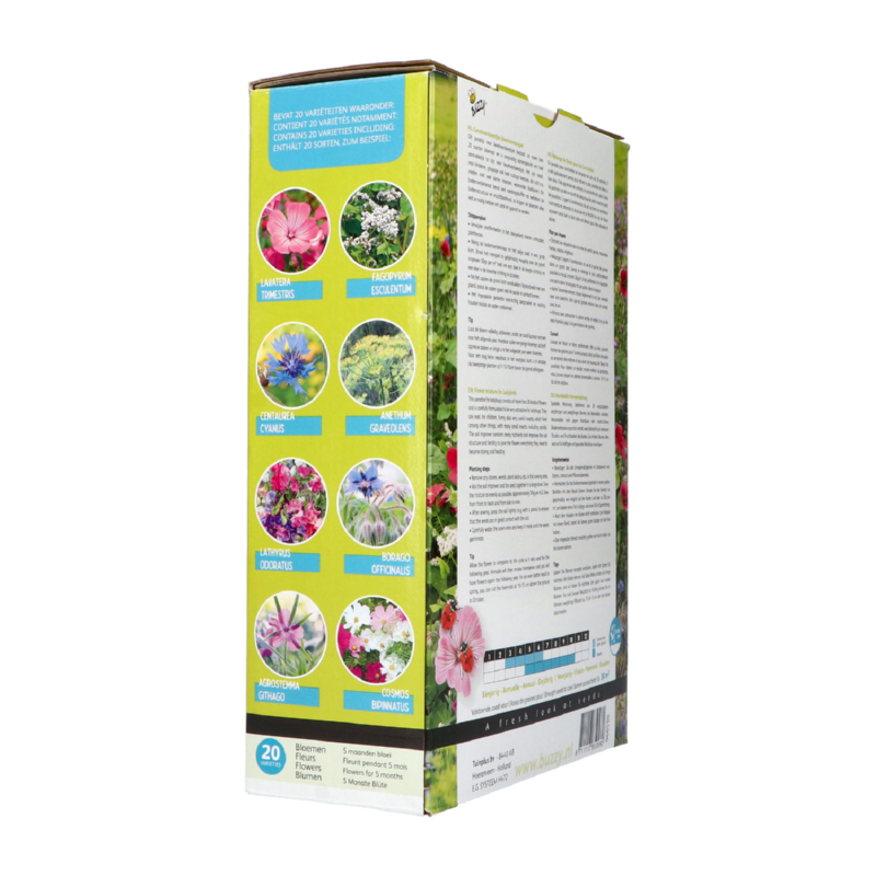 Buzzy® Friendly Flowers XL Lady Bug 50m²