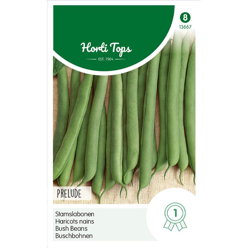 Dwarf French Beans Prelude, 250g