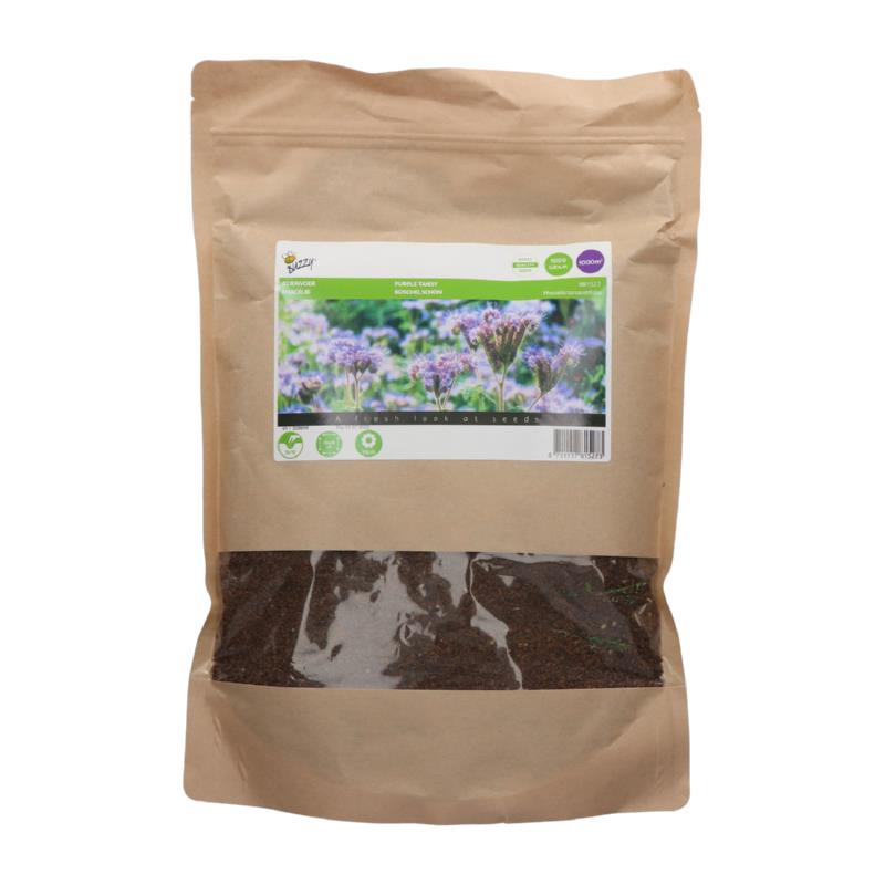 Phacelia tanacetifolia 1 Kilo
