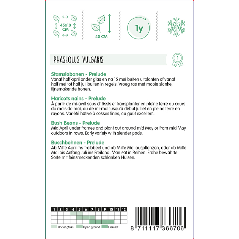 Dwarf French Beans Prelude, 250g