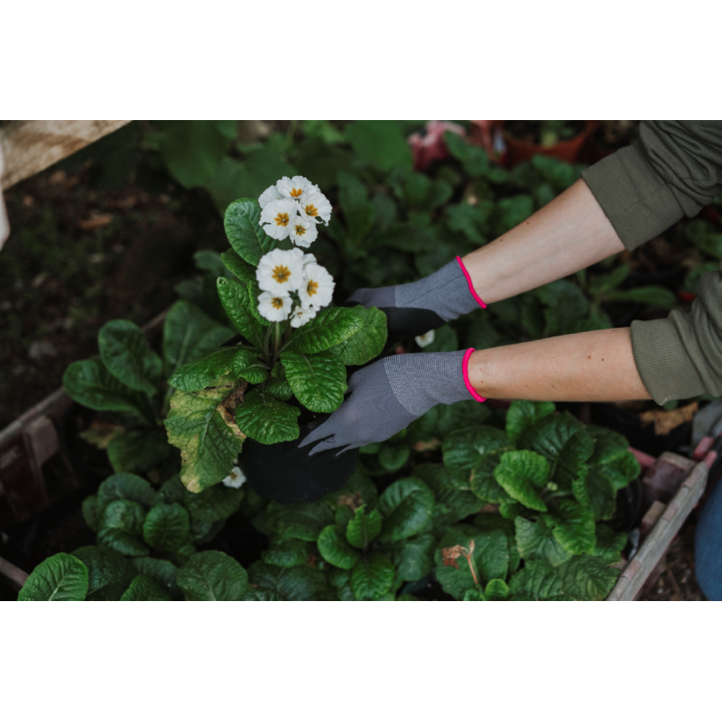 Kent & Stowe Seed & Weed Gloves S