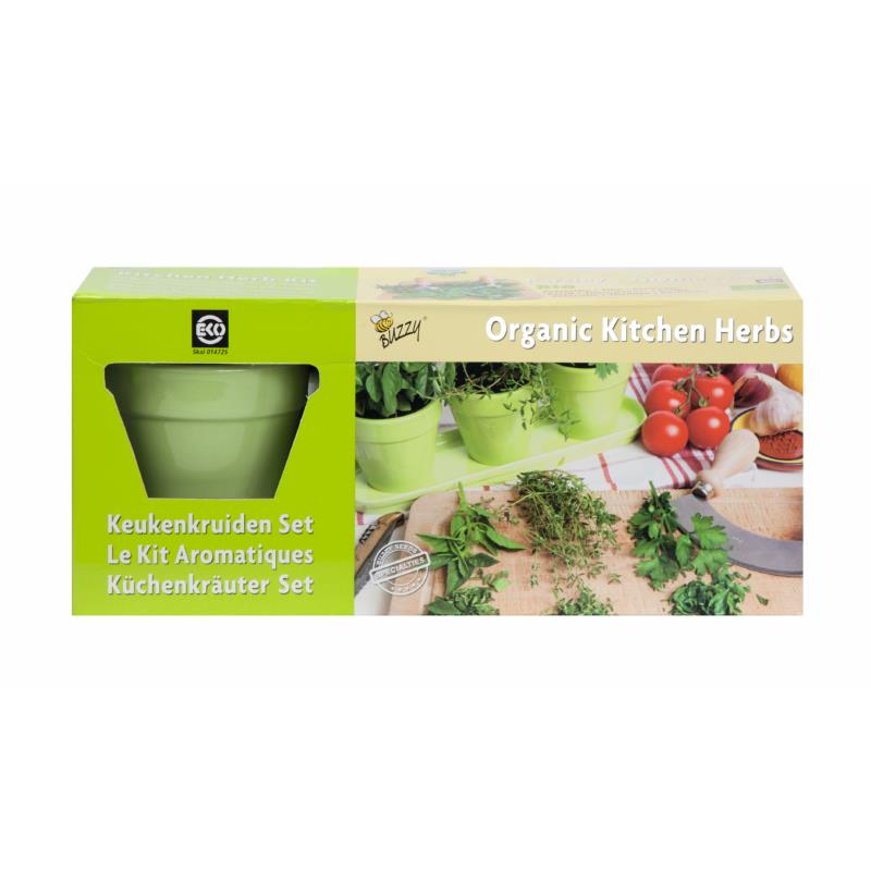 Buzzy® Aromatiques en pots Vert
