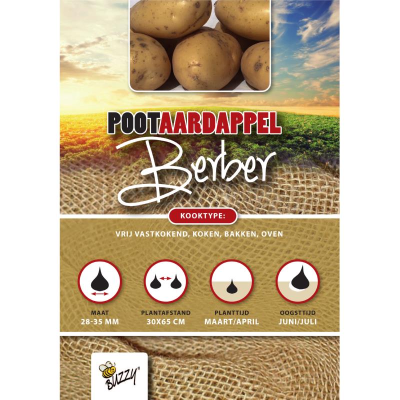 Seed Potatoes Berber 1 Kg