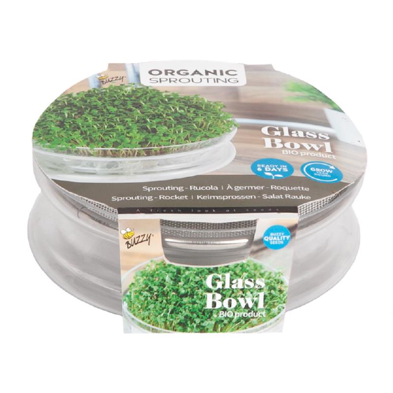 Buzzy® Organic Sprouting glas Schale und Tüte