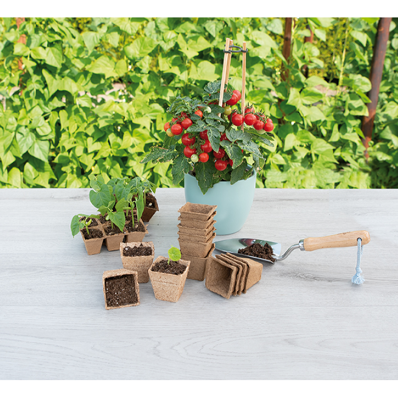 SOGO Biodegradable pots square 6cm 10pcs