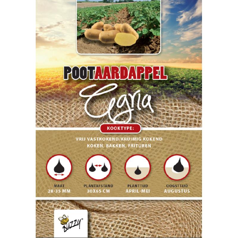 Seed Potatoes Agria 1 Kg