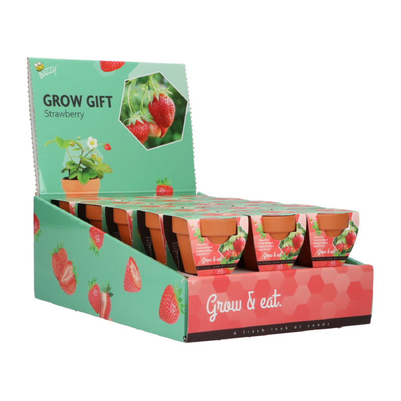 Buzzy® Grow Gifts Erdbeeren 30st. in display