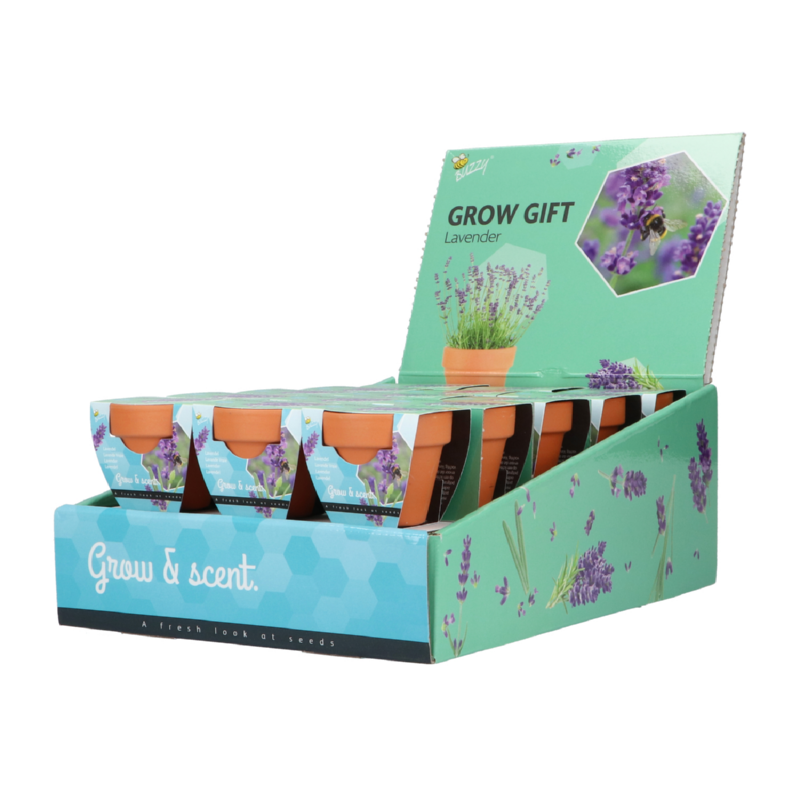 Buzzy® Grow Gifts Lavendel 30st. in display