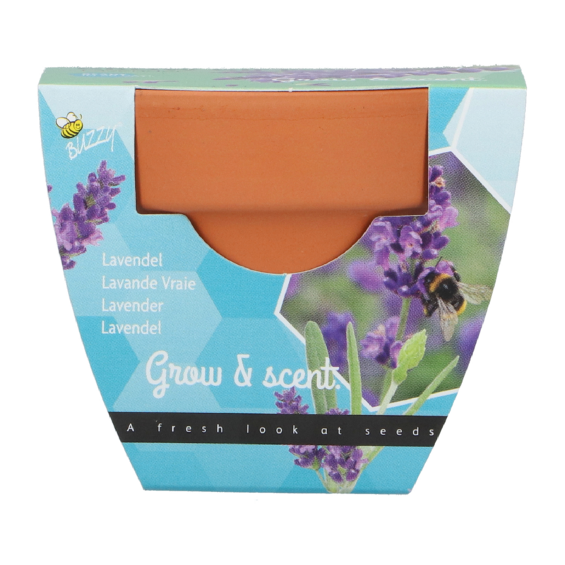 Buzzy® Grow Gifts Lavendel 30st. in display