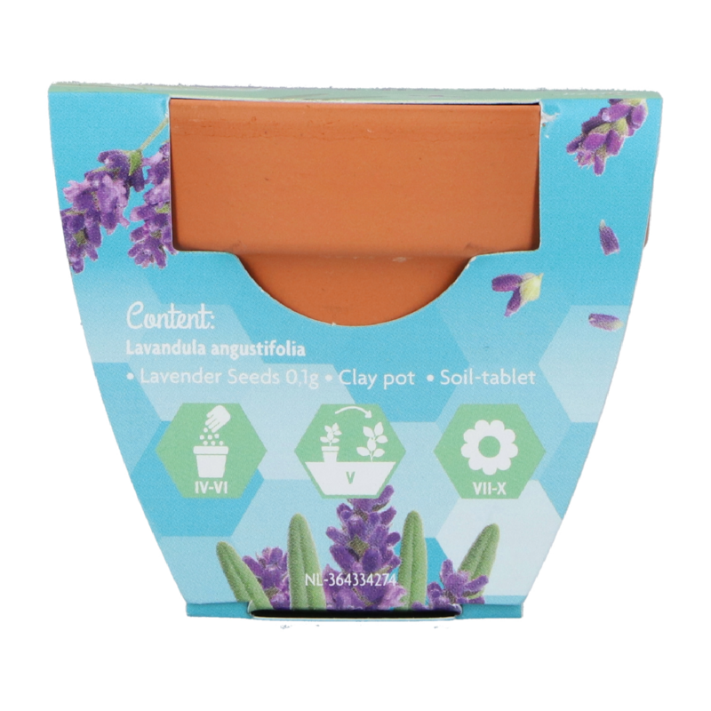 Buzzy® Grow Gifts Lavendel 30st. in display
