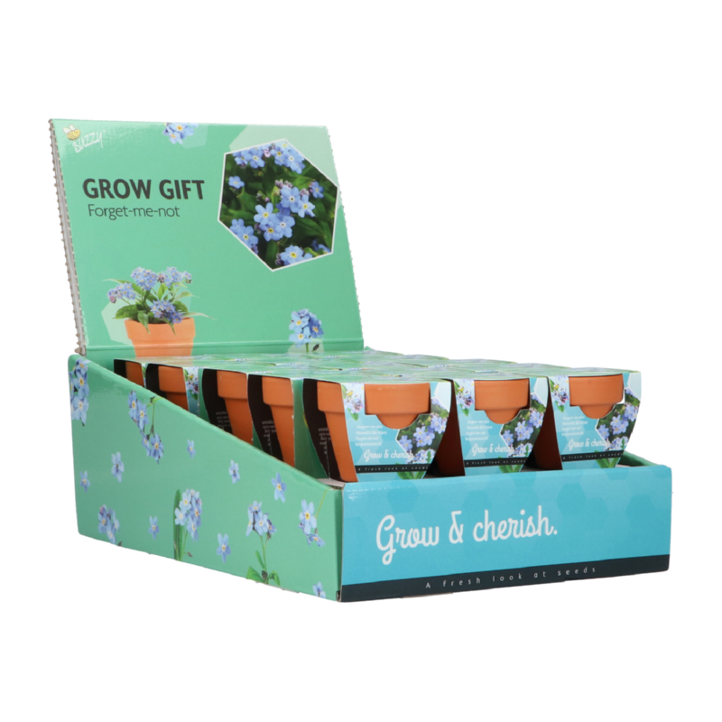 Buzzy® Grow Gifts Vergissmeinnicht 30st. in display