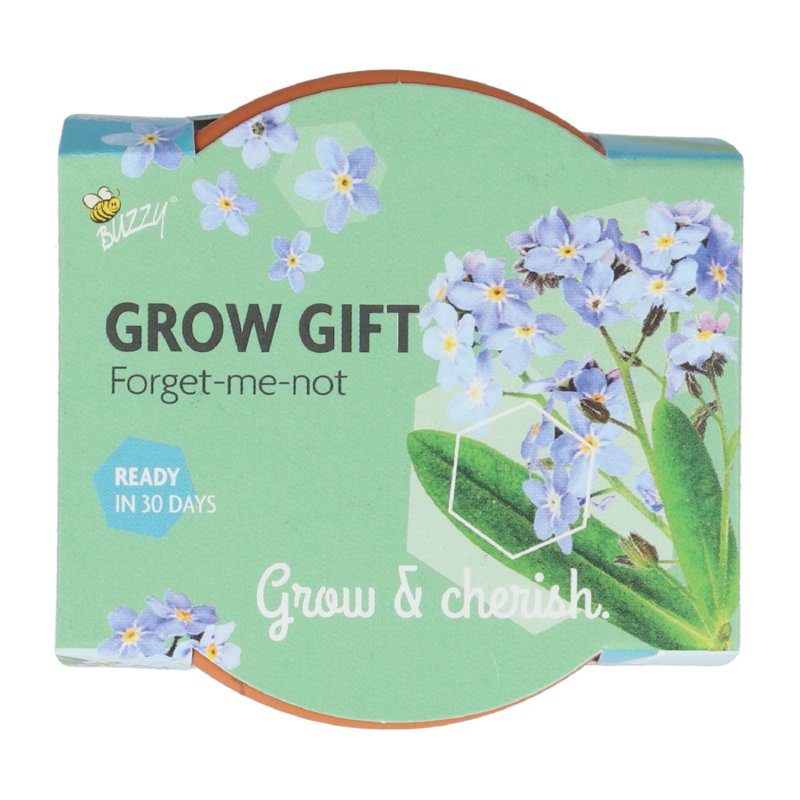 Buzzy® Grow Gifts Vergissmeinnicht 30st. in display