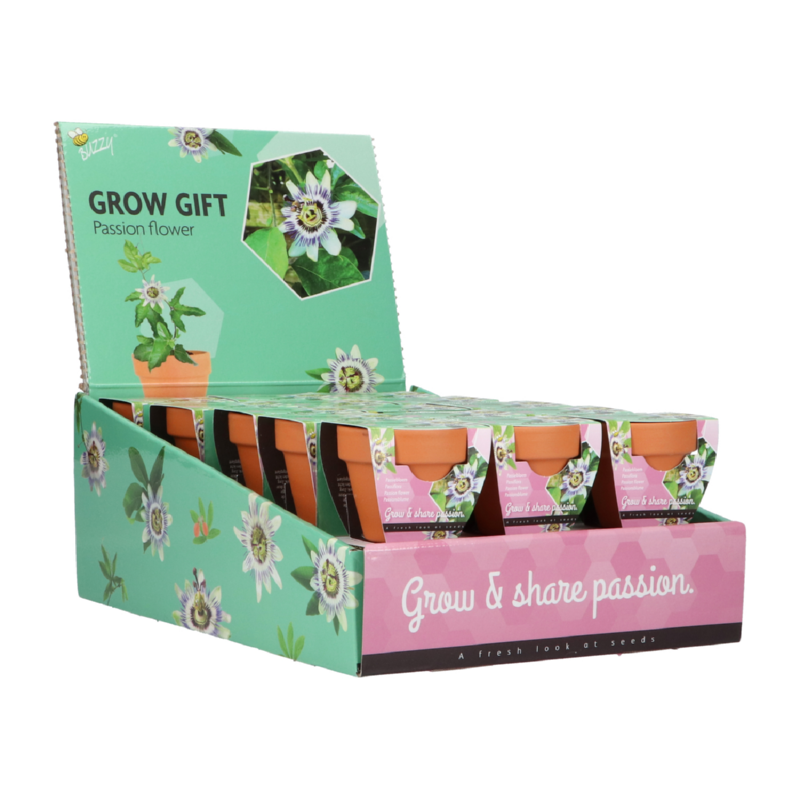 Buzzy® Grow Gifts Passiflora 30st. in display