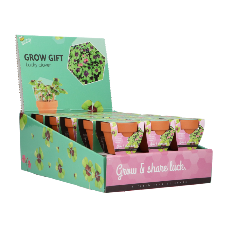 Buzzy® Grow Gifts  Lucky Clover 30st.  display