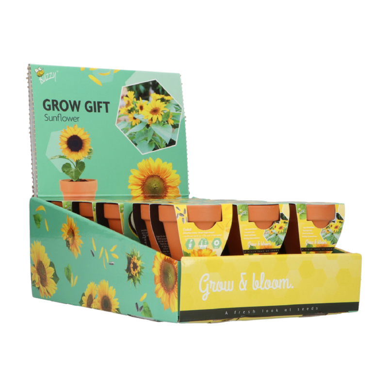 Buzzy® Grow Gifts Sonnenblume 30st. in display