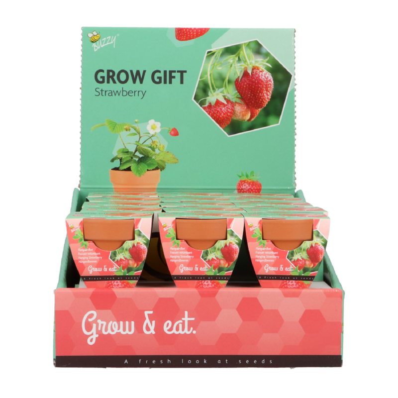 Buzzy® Grow Gifts Erdbeeren 30st. in display