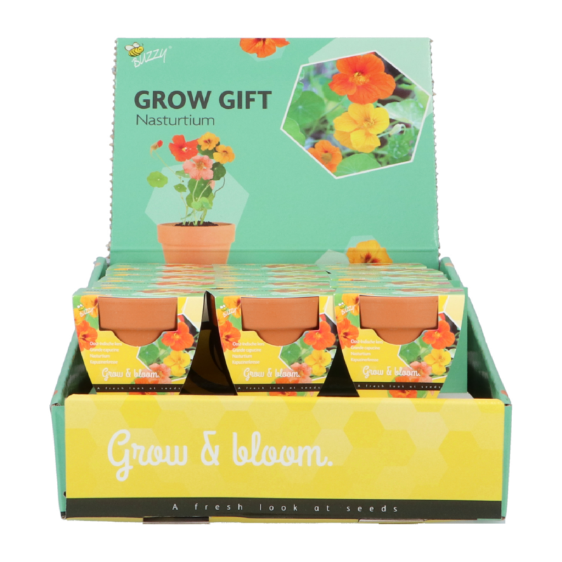 Buzzy® Grow Gifts Kapuzinerkresse 30st. in display