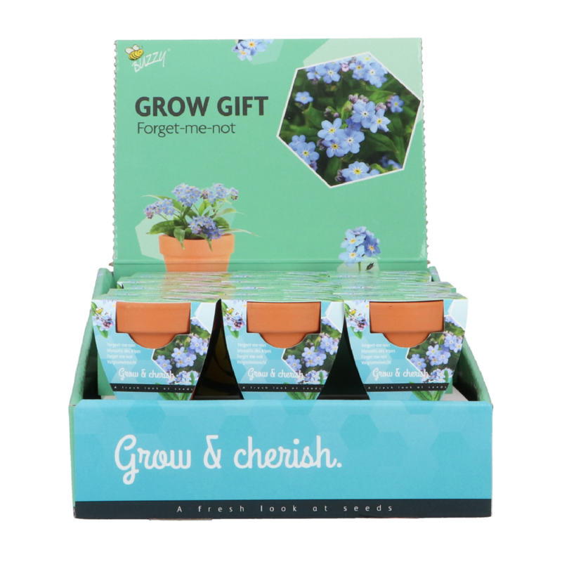 Buzzy® Grow Gifts Vergissmeinnicht 30st. in display